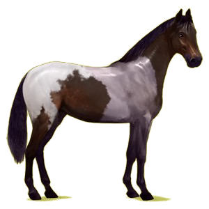 Reitpferd Hannoveraner Fuchs mit heller Mähne