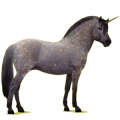 Einhorn-Pony Norweger Braunfalben