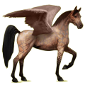 Pegasus-Reitpferd Araber Apfelschimmel