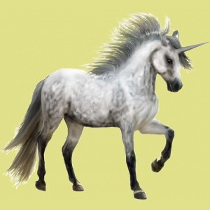 1533-normal.jpg