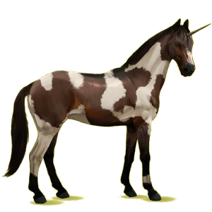 Einhorn-Reitpferd Deutsches Reitpferd Fuchs