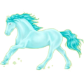 Reitpferd Mustang Rotbrauner