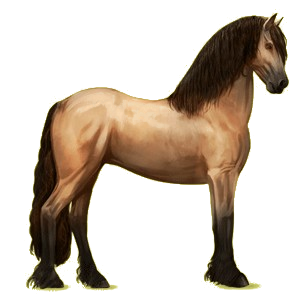 Reitpferd Friese Rappe