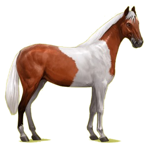 Reitpferd Don-Pferd Fuchs mit heller Mähne