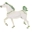 Pony Welsh Cob Rappe