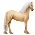 Reitpferd Friese Rappe