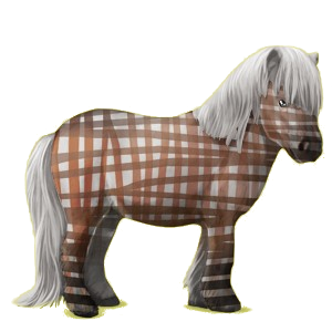 Pony Shetlandpony Mausgrau