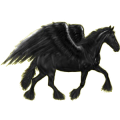 Pegasus-Reitpferd Friese Rappe