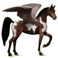 Pegasus-Reitpferd Araber Dunkelbrauner