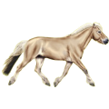 Pony Norweger Braunfalben