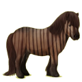 Pony Shetlandpony Fuchs