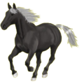 Pegasus-Reitpferd Holsteiner Apfelschimmel