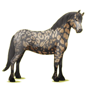 Pony Quarter Pony Dunkelfuchs mit Tobiano-Scheckung