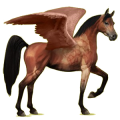 Pegasus-Reitpferd Araber Roan