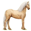 Reitpferd Friese Rappe
