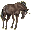 Einhorn-Reitpferd Deutsches Reitpferd Dunkelbrauner