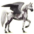 Pegasus-Reitpferd Araber Forellenschimmel