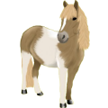 Pony Deutsches Reitpony Dunkelbrauner