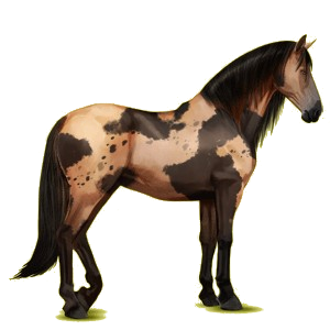 Reitpferd Lipizzaner Hellgrau