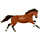 Reitpferd Trakehner Fuchs