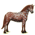 Pony Quarter Pony Brauner
