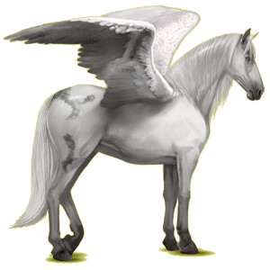 Pegasus-Reitpferd Lipizzaner Hellgrau