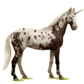 Einhorn-Reitpferd Deutsches Reitpferd Hellgrau