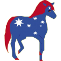 Pony Shetlandpony Hellgrau