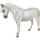 Pony Shetlandpony Falbe