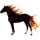 Reitpferd Araber Hellgrau