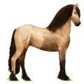 Reitpferd Friese Rappe