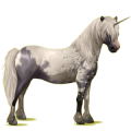 Einhorn-Pony Roan
