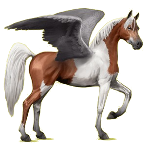 Pegasus-Reitpferd Araber Mausgrau