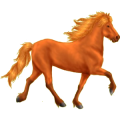Pegasus-Reitpferd Andalusier Mausgrau