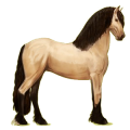 Reitpferd Friese Rappe