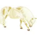 Pony Deutsches Reitpony Hellgrau