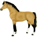 Reitpferd Trakehner Falbe