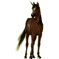 Einhorn-Pony Welsh Cob Brauner