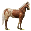 Pegasus-Reitpferd Paint Horse Overo-Fuchsschecke