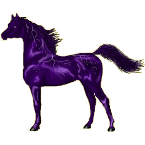 Reitpferd Mustang Brauner