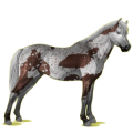 Pony Deutsches Reitpony Mausgrau