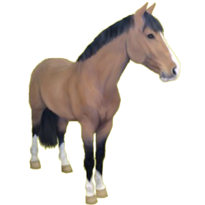 Reitpferd Mustang Hellgrau