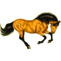 Pony Deutsches Reitpony Roan