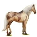 Reitpferd Andalusier Rotbrauner