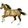 Reitpferd Trakehner Dunkelbrauner