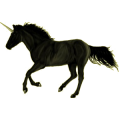 Einhorn-Pony Roan