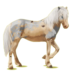 Pegasus-Reitpferd Isländer Brauner