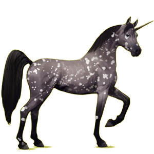 Einhorn-Reitpferd Araber Rotbrauner