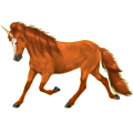 Einhorn-Pony Neufundland Pony Roan