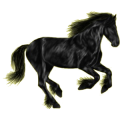 Pegasus-Reitpferd Andalusier Falbe
